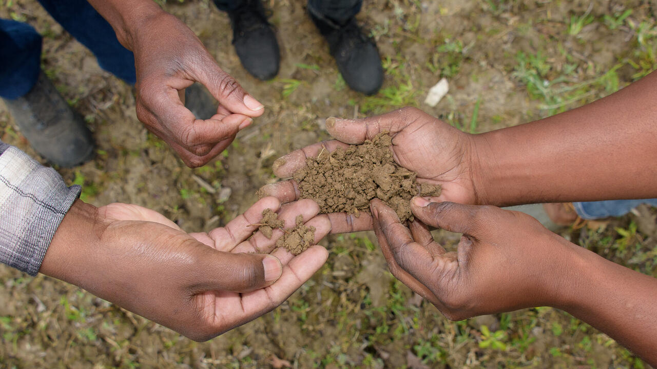 Several human hands hold dirt