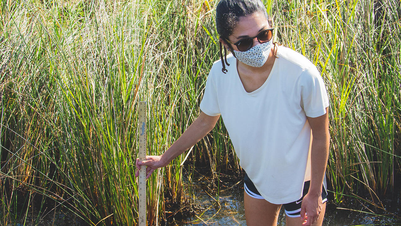 Girl wading knee-deep in water measuring its depth with a yardstick