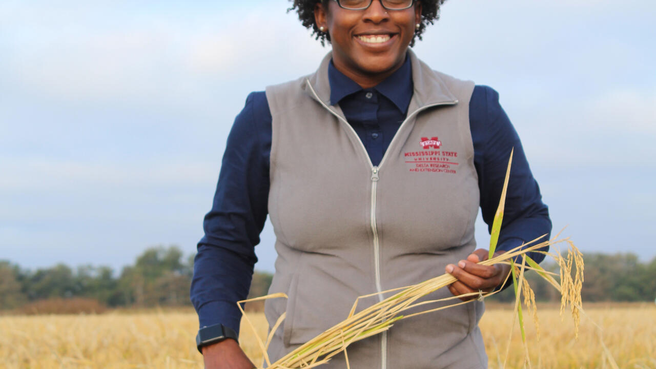 A woman holds a stalk of grain while standing in a field.