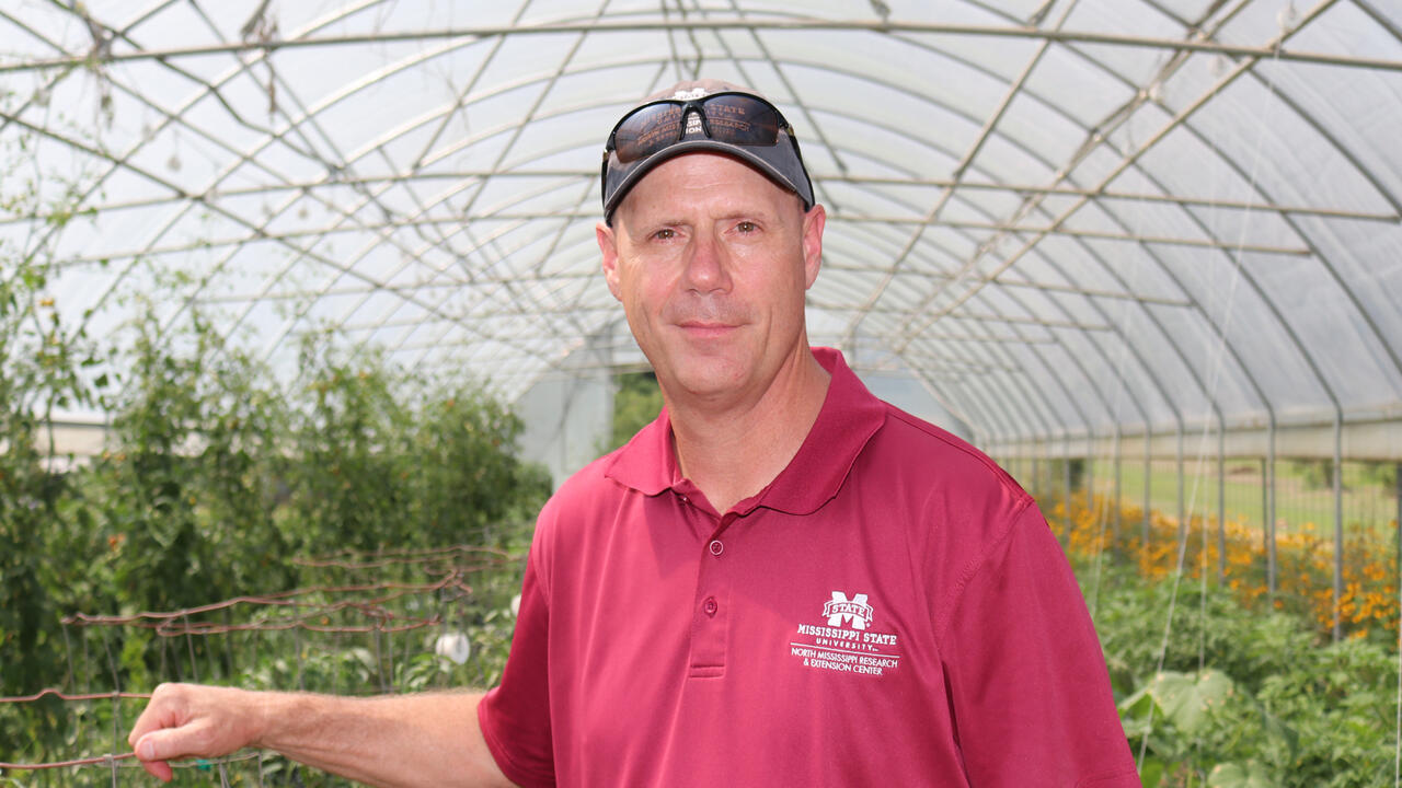 Man in a maroon shirt and baseball cap in a greenhouse.