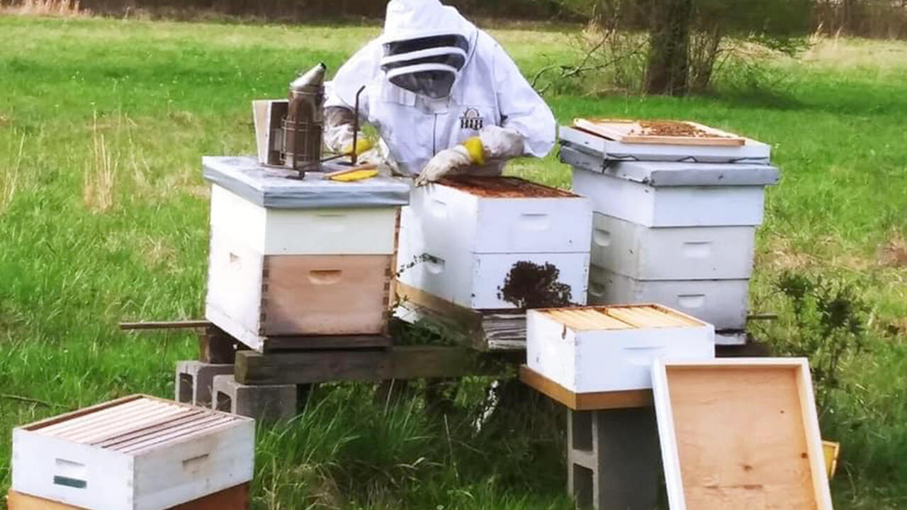 A person works a beehive.