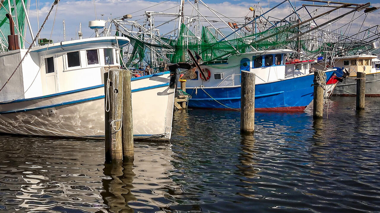 shrimp boats in the dock