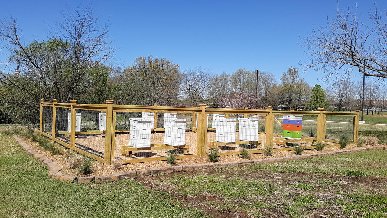 A fenced area encloses several beehives. 