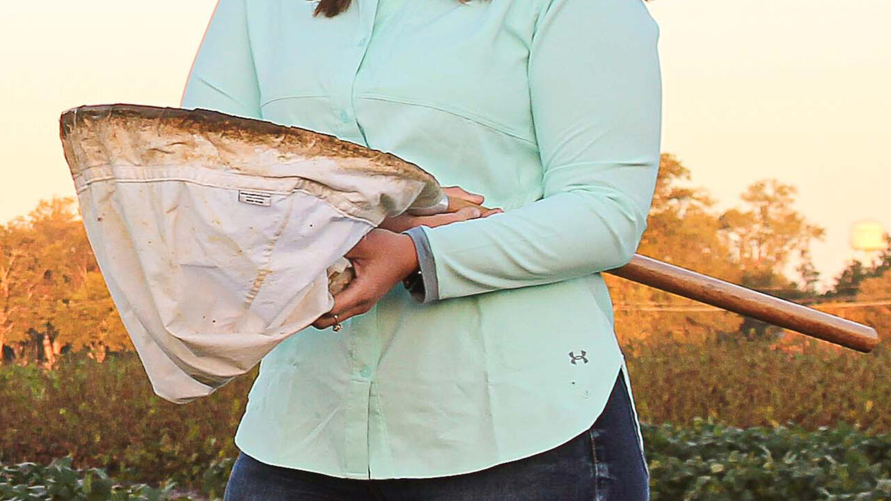 A woman holds a net while standing in a field.