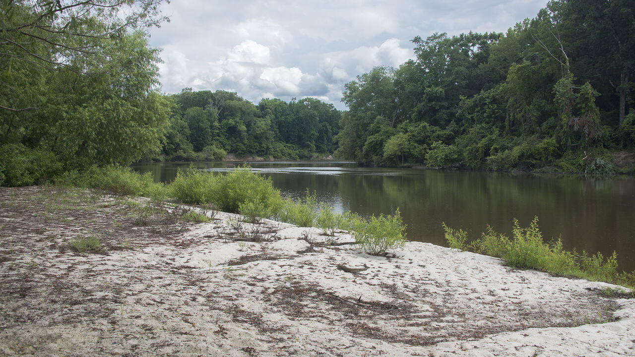 A small river runs through a wooded area with a sand beach.
