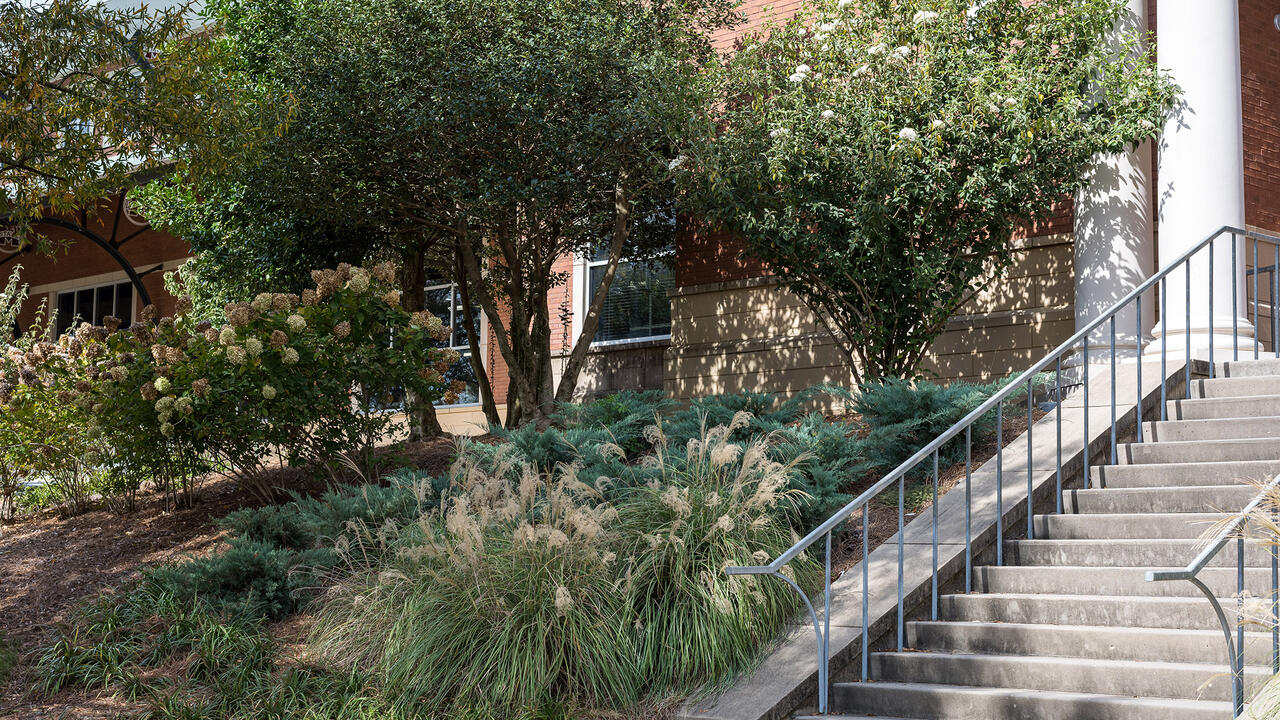 Different plants decorate the area beside a set of stairs.