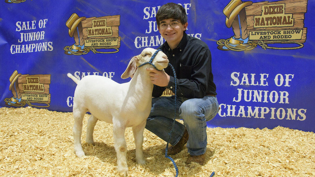 A teenage boy poses with a goat.