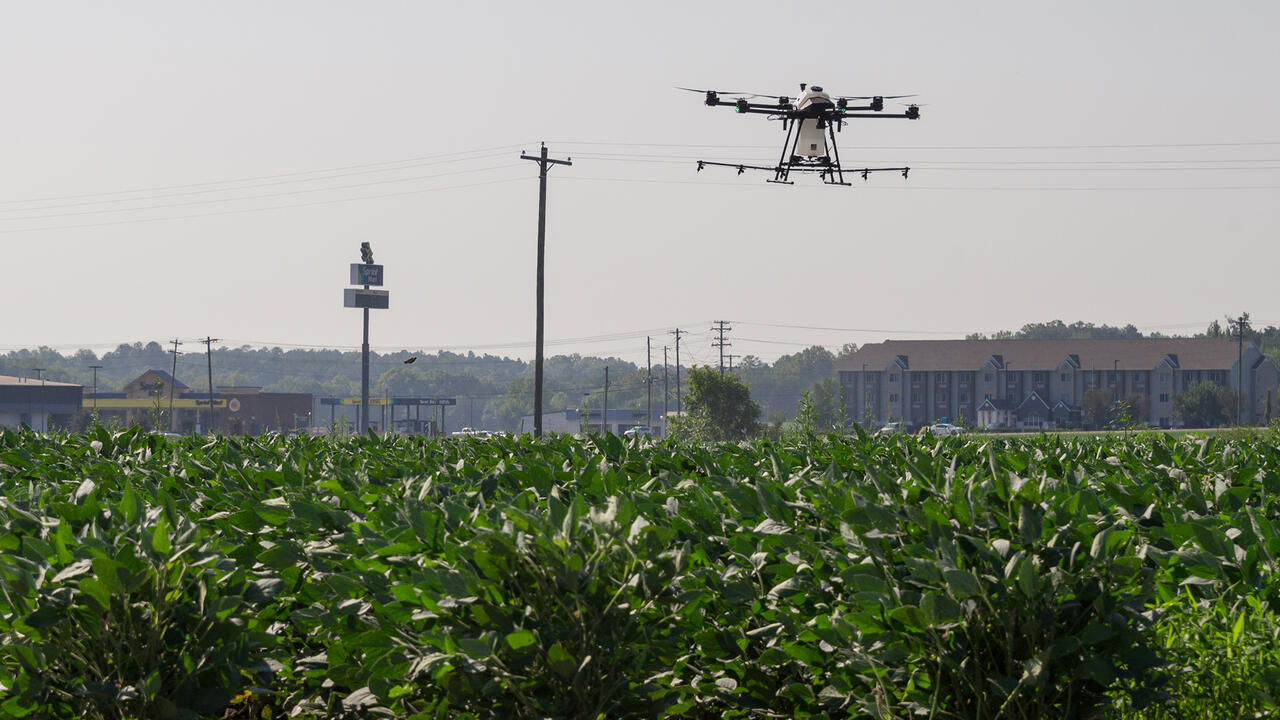 A drone sprays water on crops