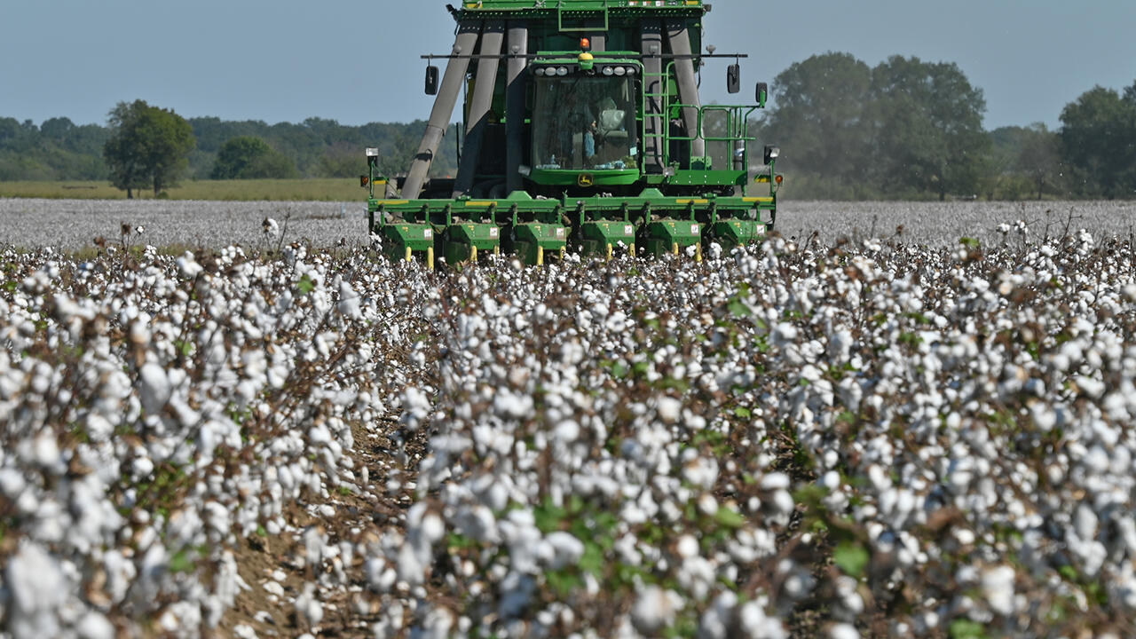 Cotton harvester