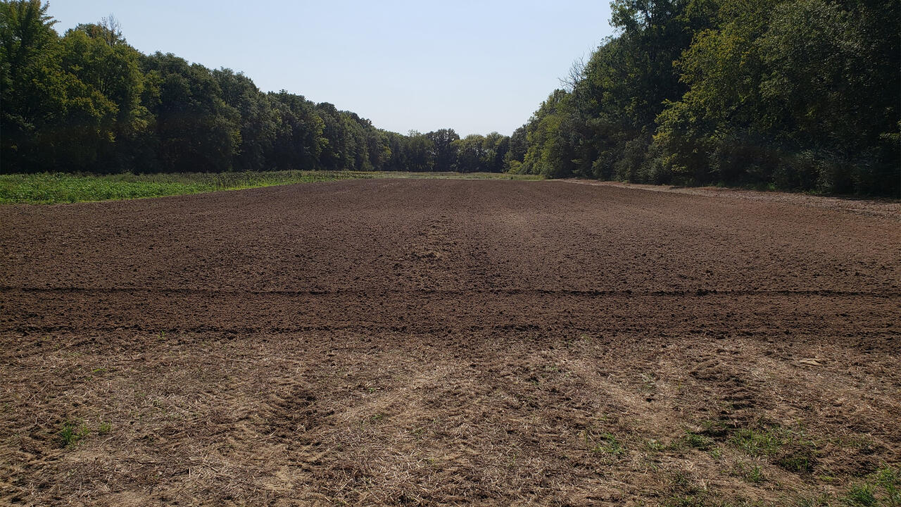 A plot of cultivated soil is surrounded by undisturbed soil.