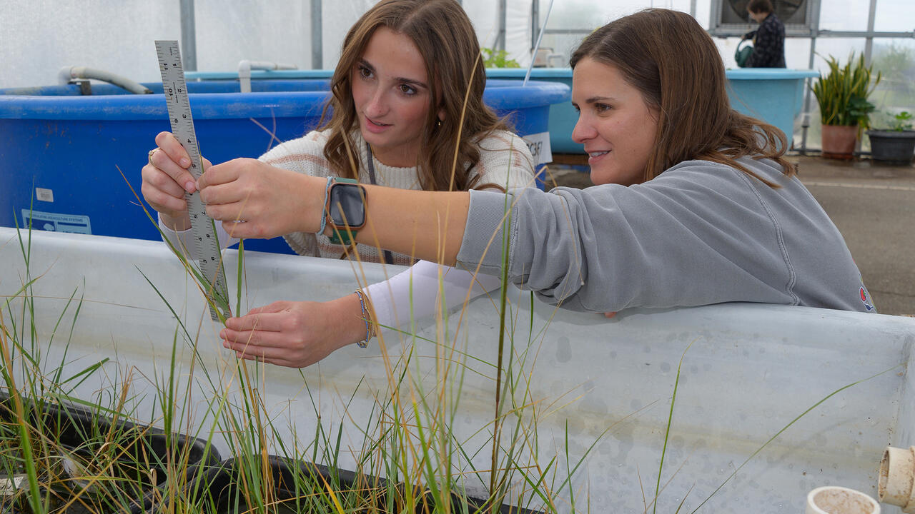 Two people use a ruler to measure plant height.