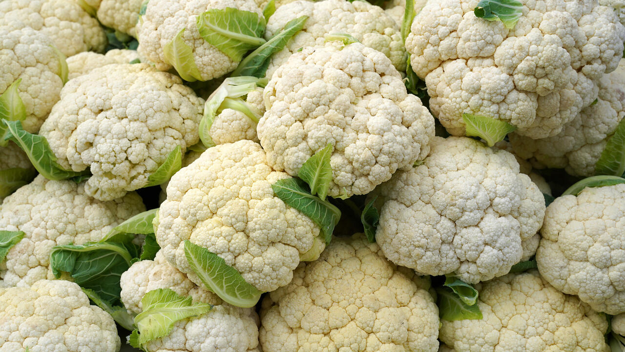 Heads of cauliflower 