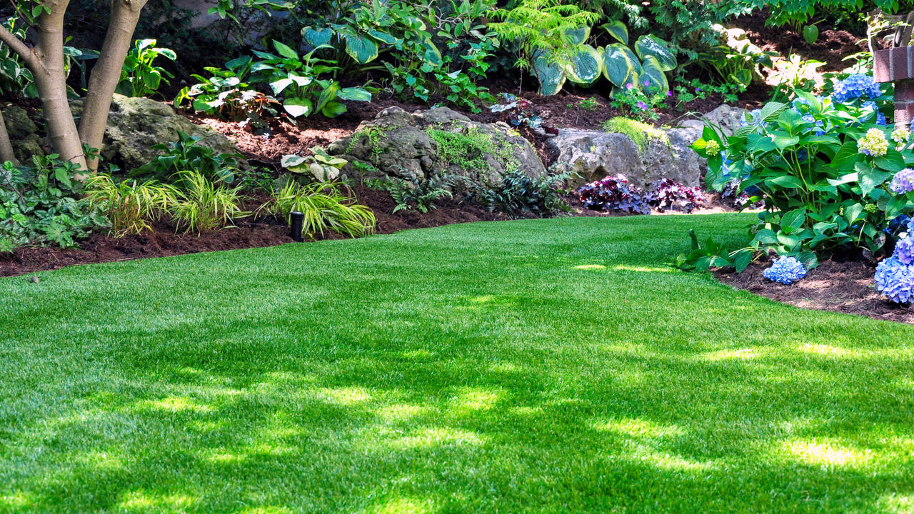 A well maintained landscape.