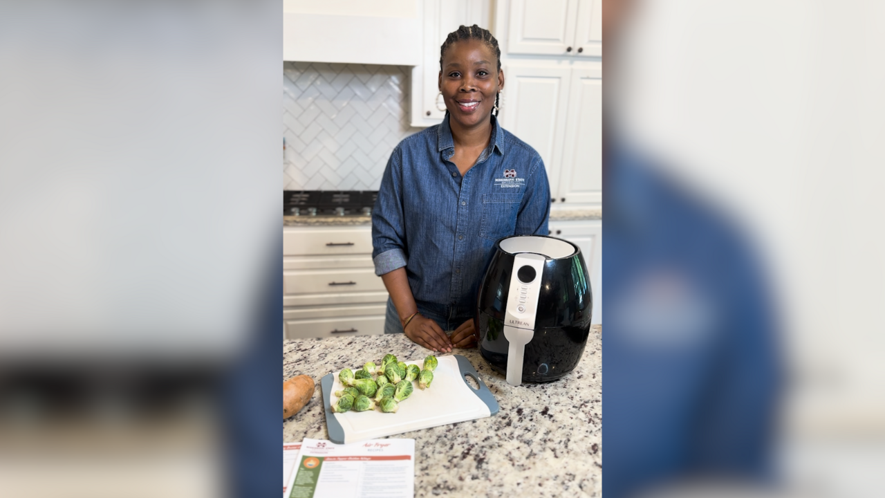 A woman in a kitchen with an air fryer.