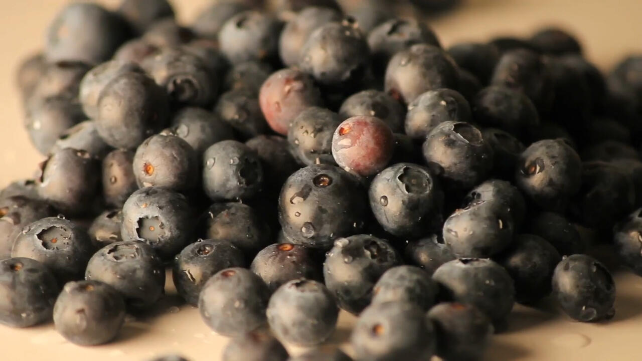 A pile of blueberries