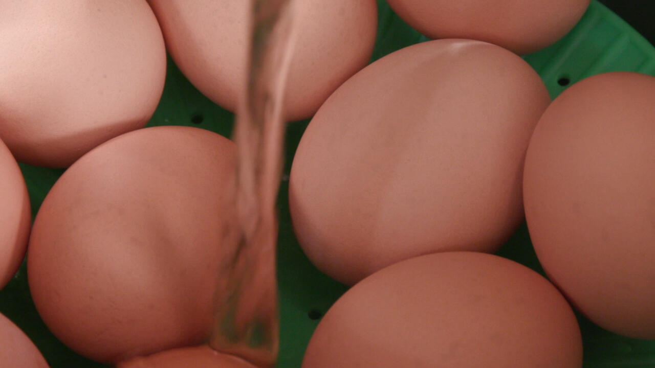 Water poured over brown eggs in an electric pressure cooker.