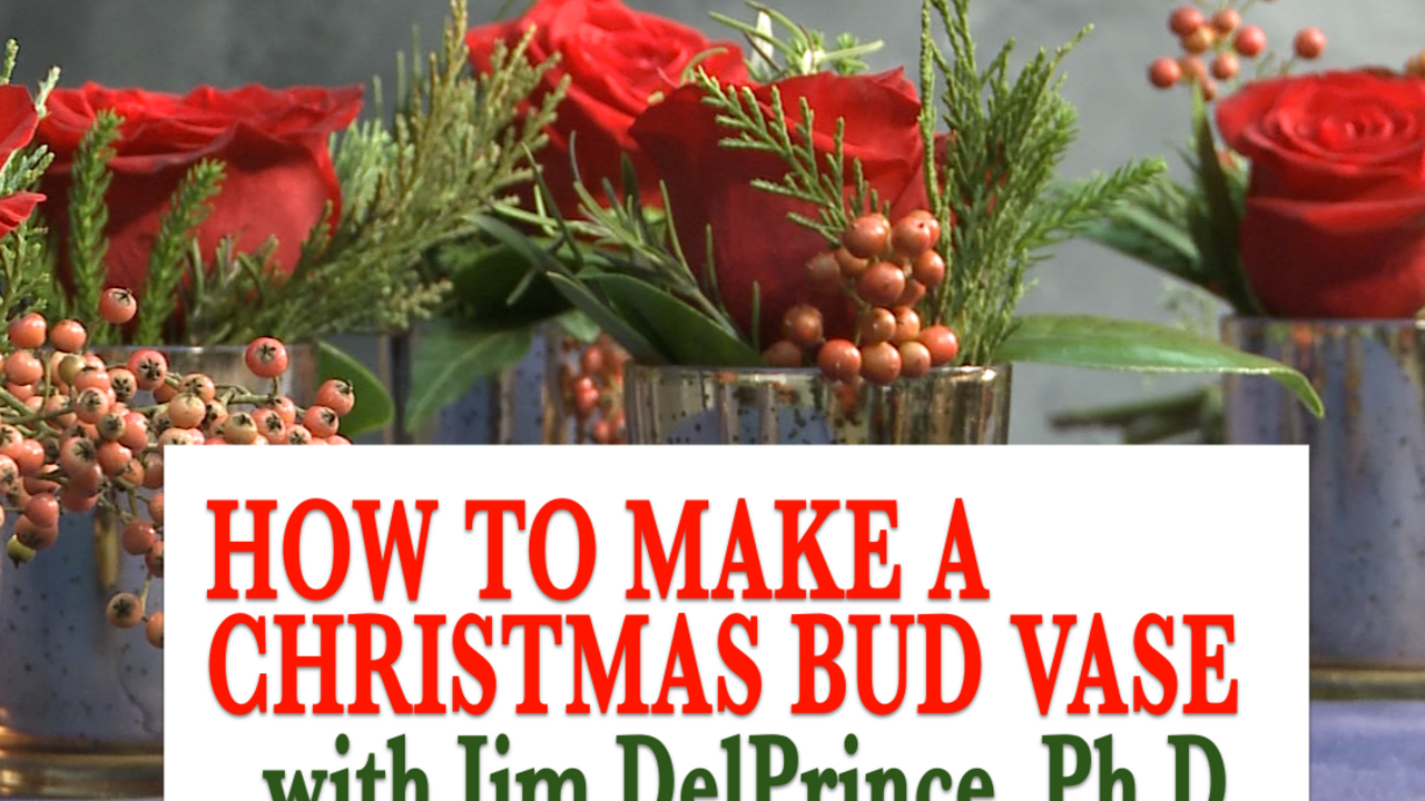 Bud vases filled with greenery, holly berries and roses