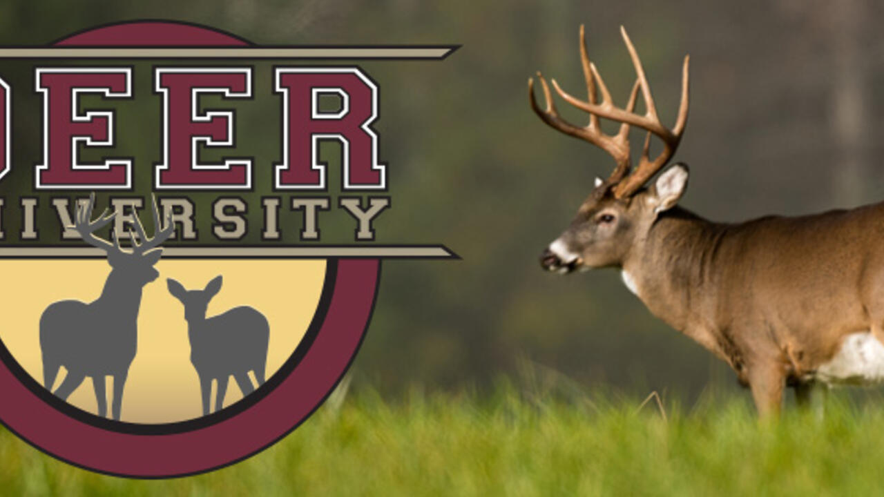 Deer University logo showing buck with huge rack.
