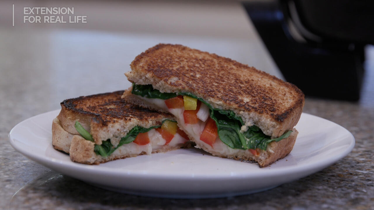 spreme grilled sandwich