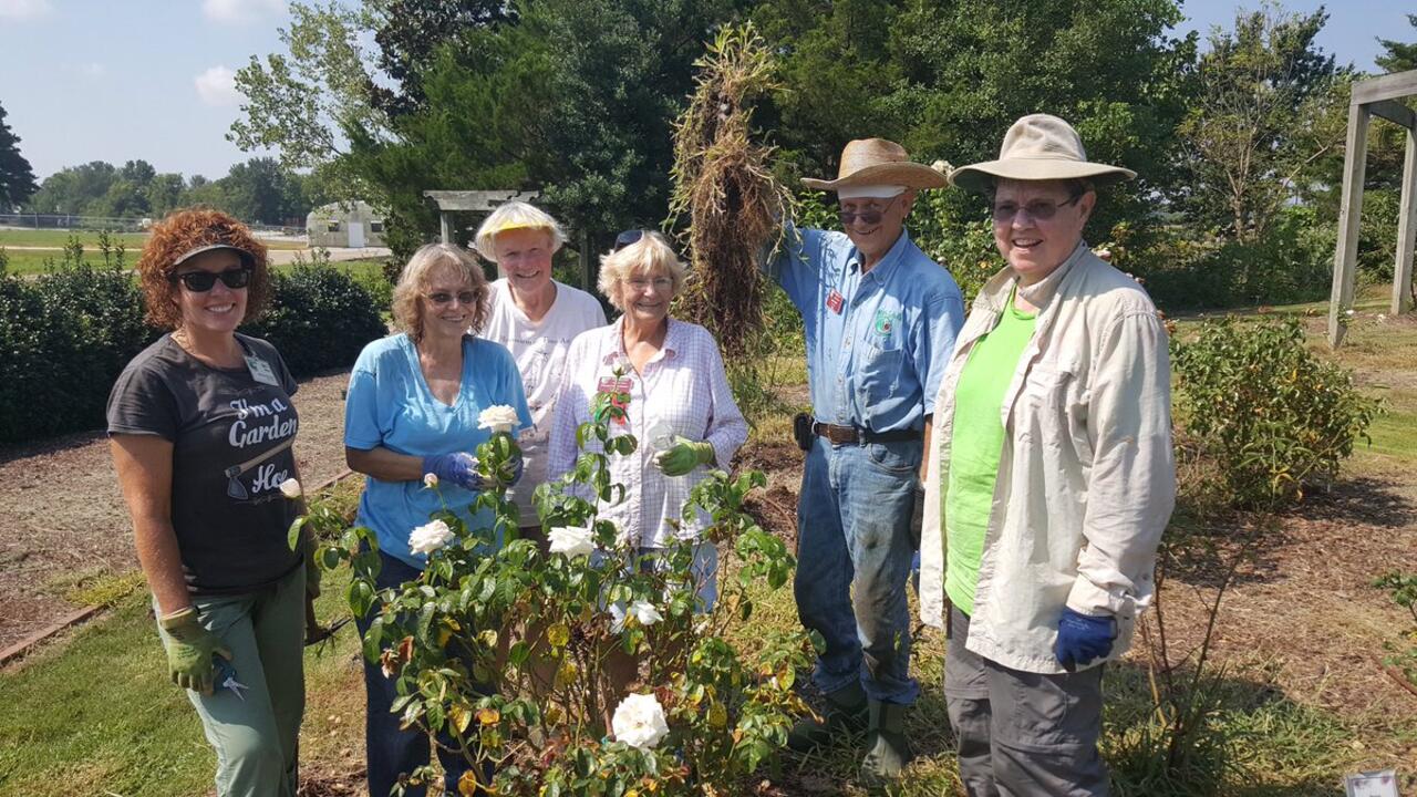 Six Master Gardeners pose in a rose garden after weeding it
