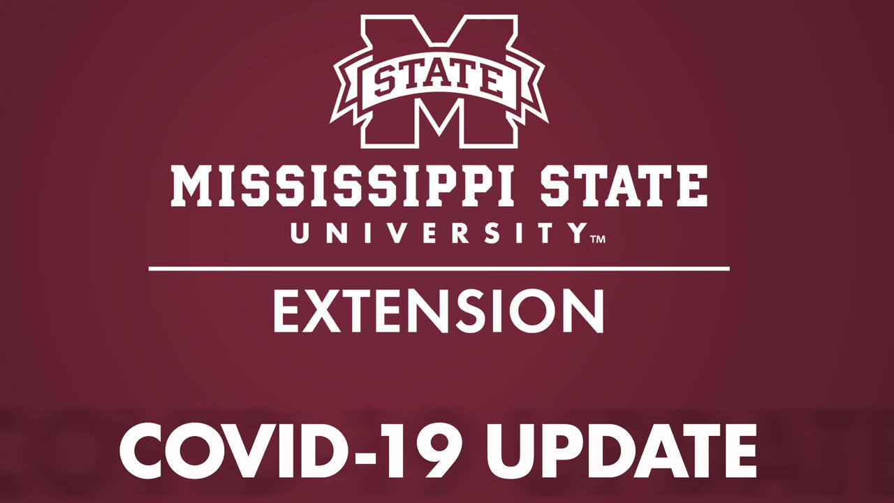 Extension image