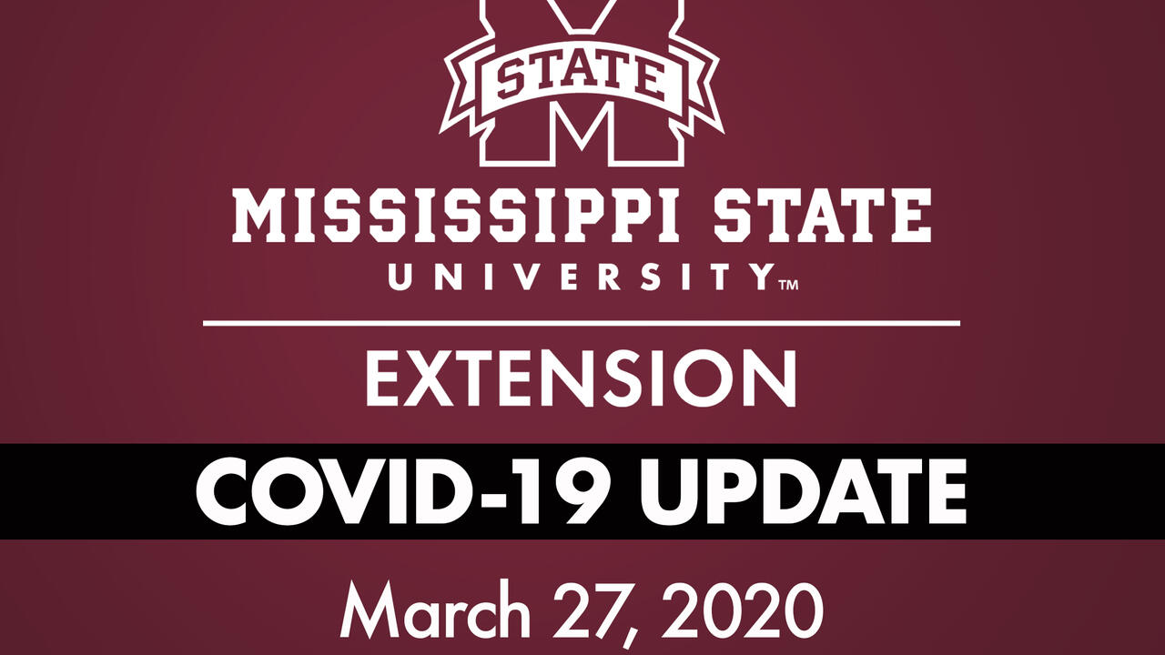 Extension image