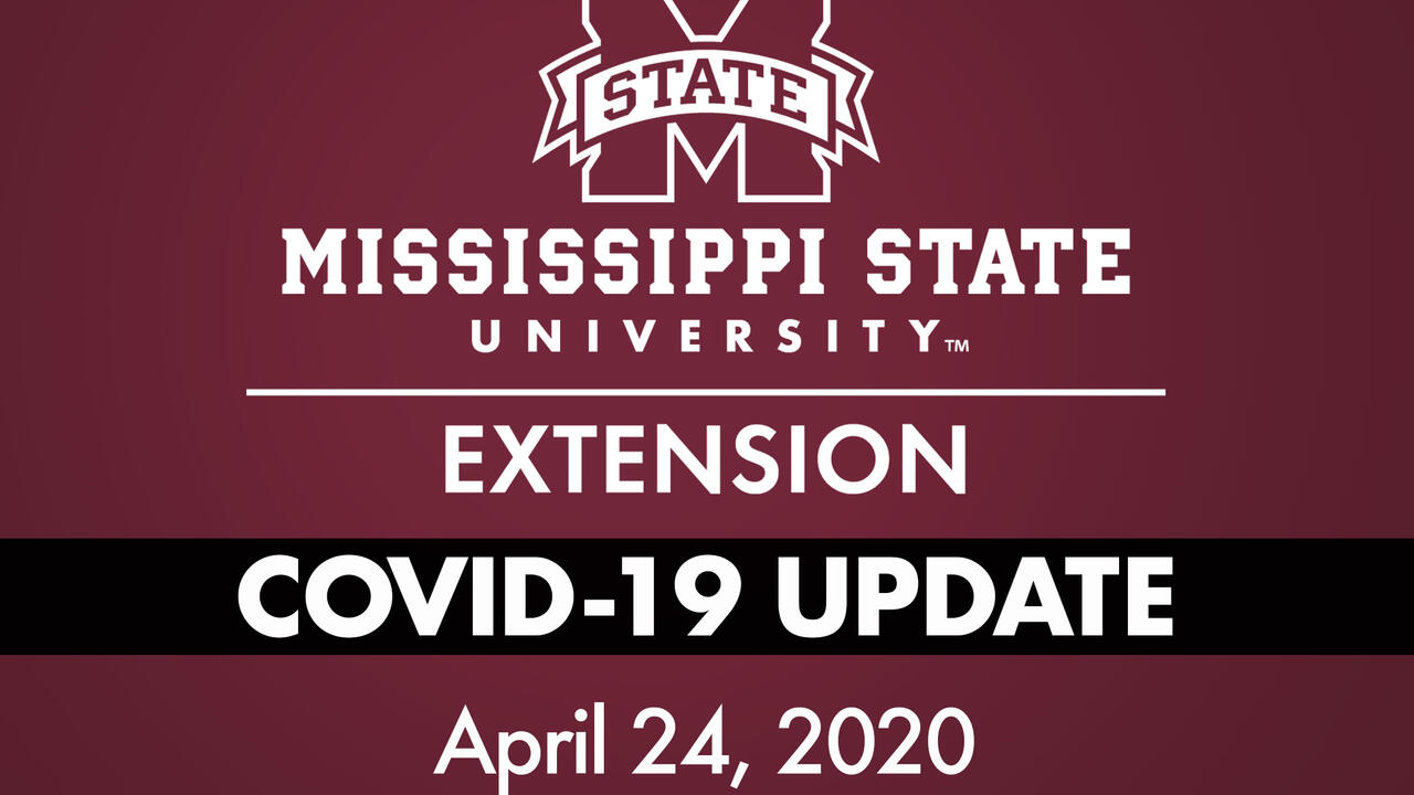 MSU Extension logo