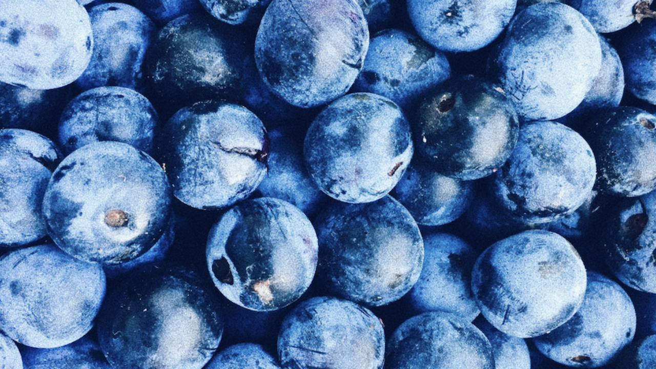A group of blueberries.