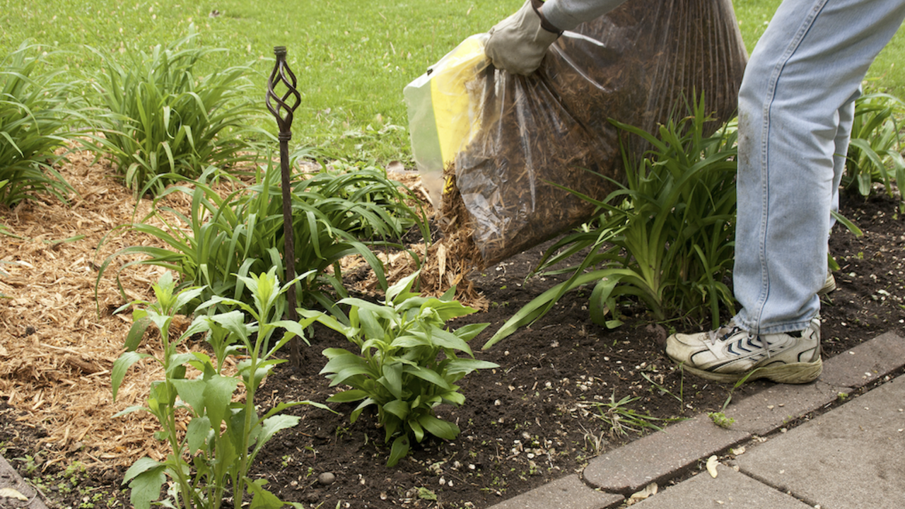 A person spreading mulch in a flower bed.