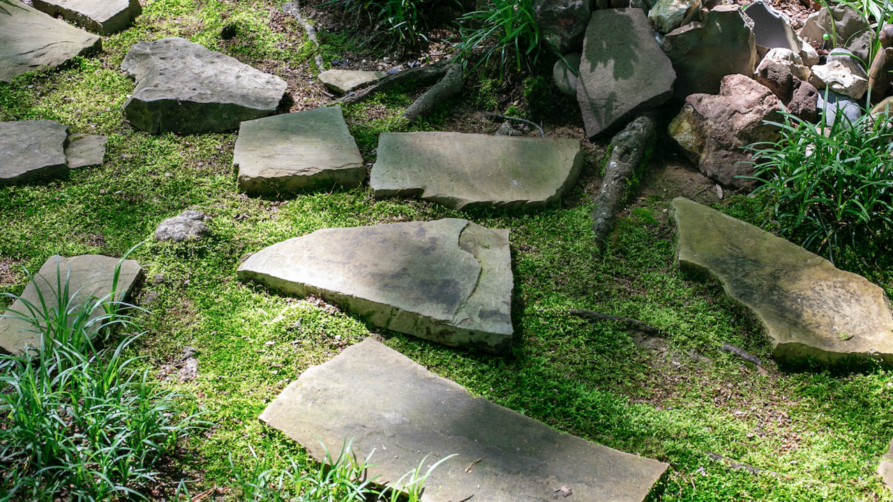 A bright green moss pathway with large pavers.