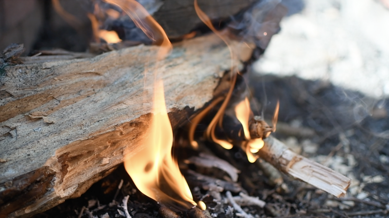 A close-up of a campfire. 