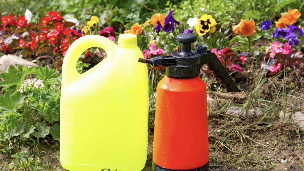Yellow and red fertilizer cans.