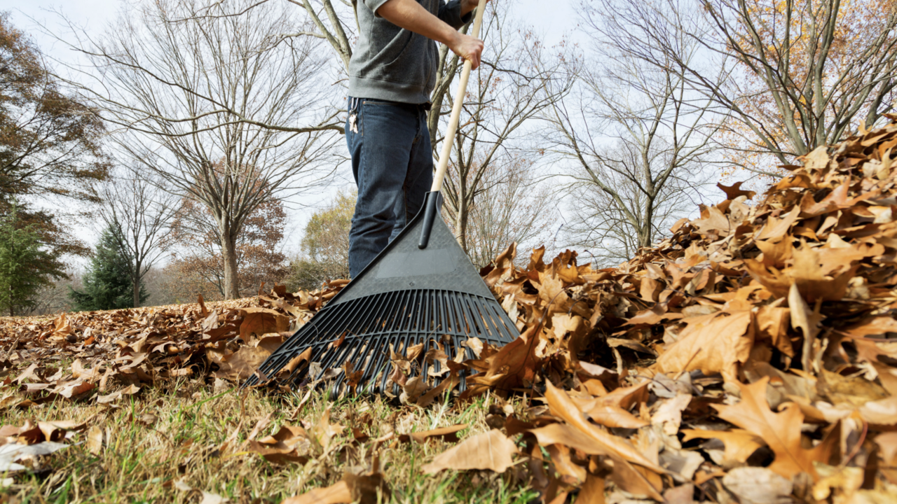 Man raking leaves