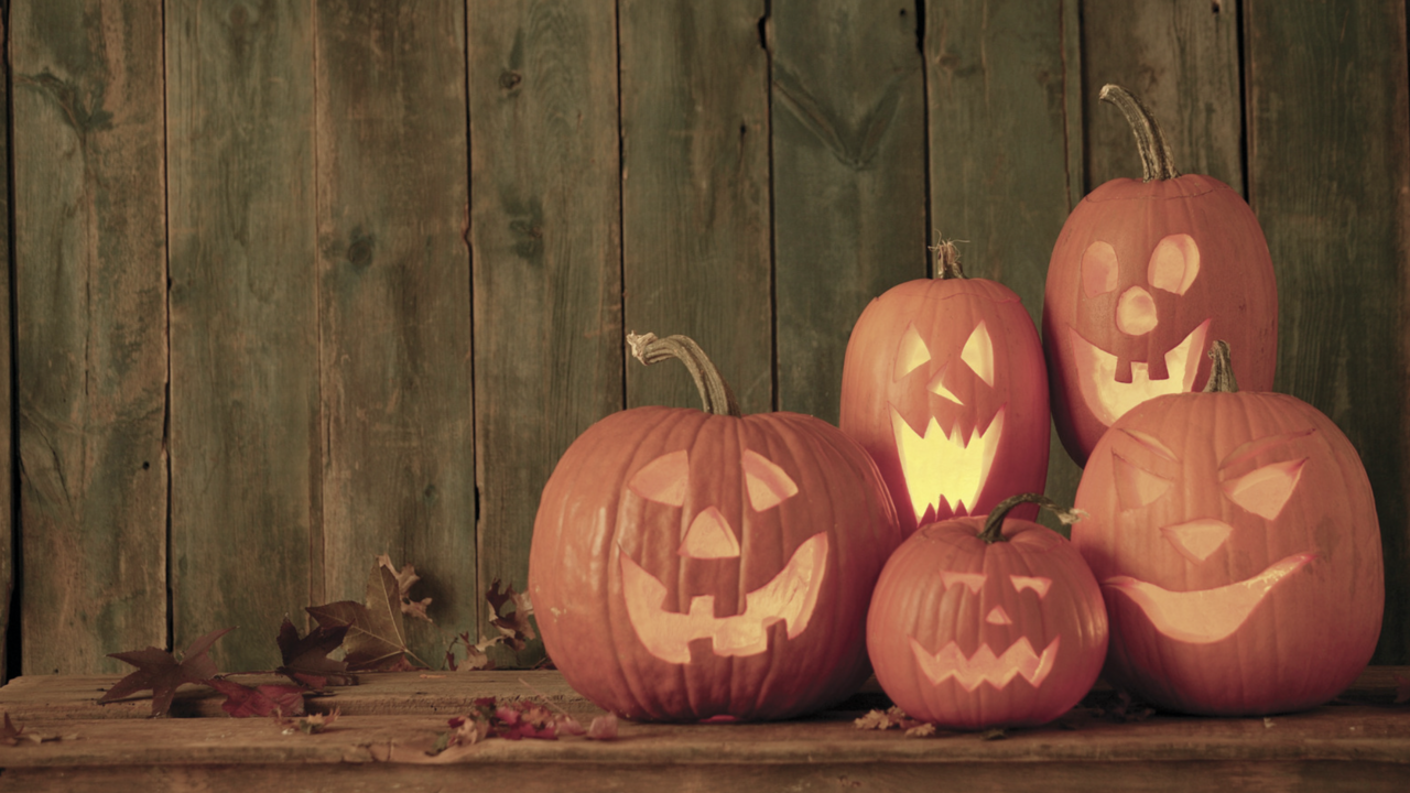 Four jack-o-lantern pumpkins