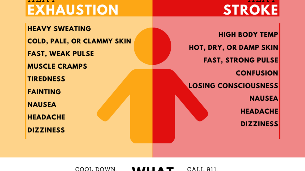 Graphic with symptoms of heat exhaustion and heat stroke.