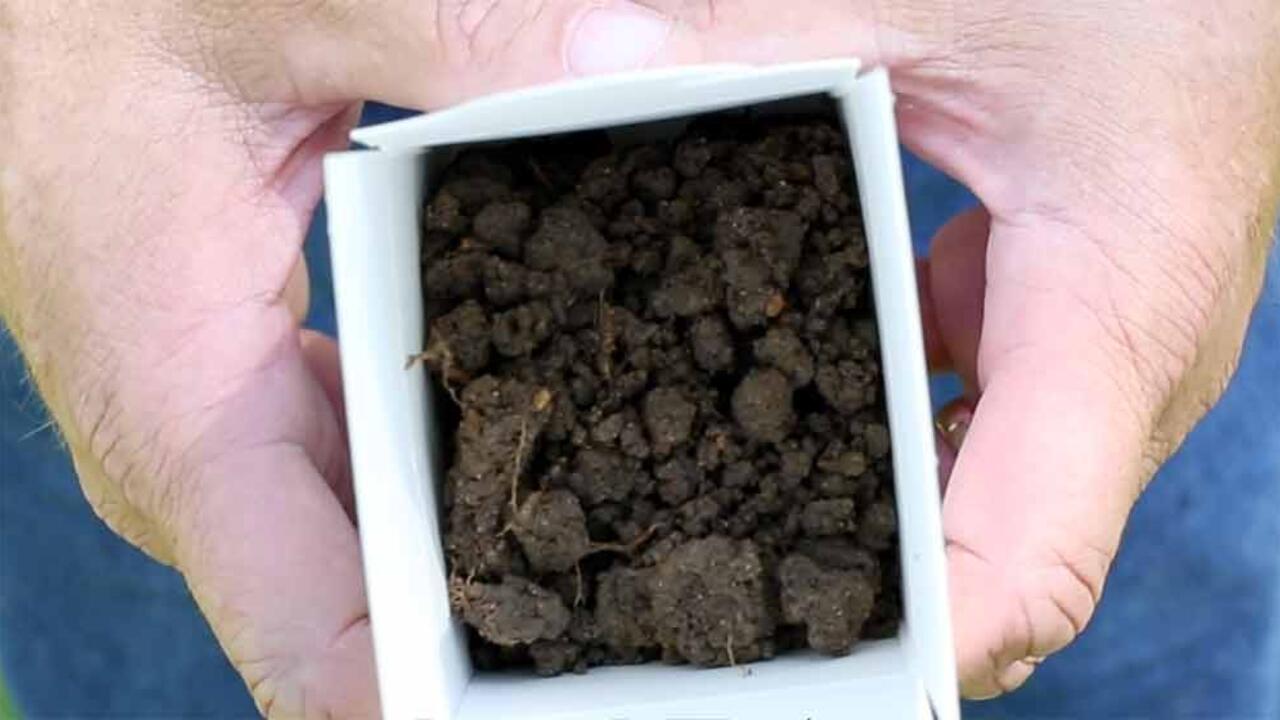 Dark brown soil in a small white box.