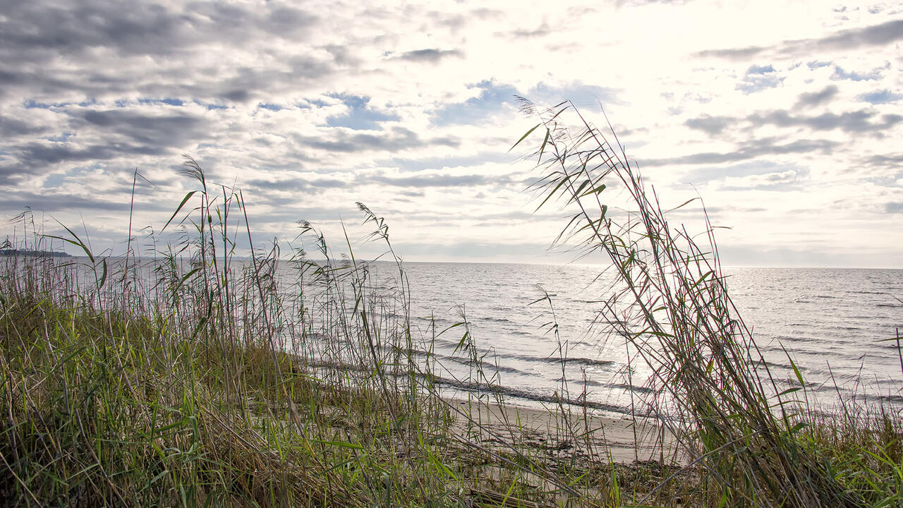 Dunes with grass appear in the foreground with the sun shining on the blue waters of the Mississippi Sound at Graveline Bayou in Jackson County.
