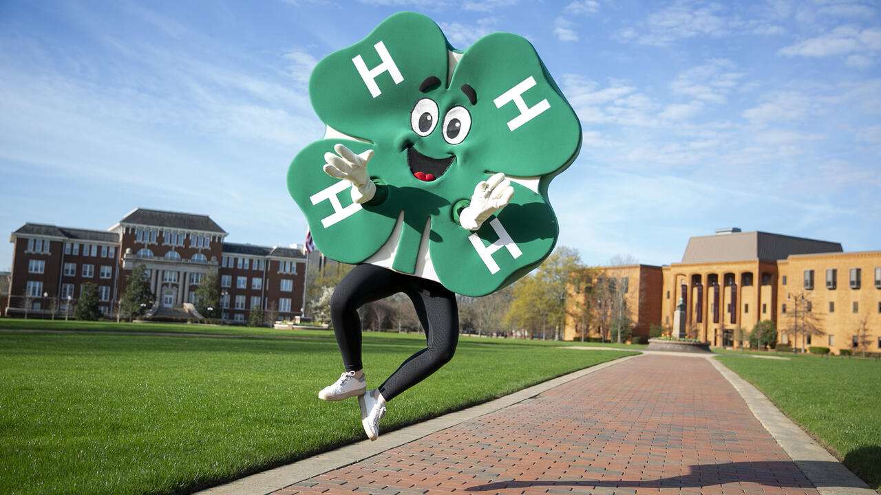 4-H clover on MSU Campus