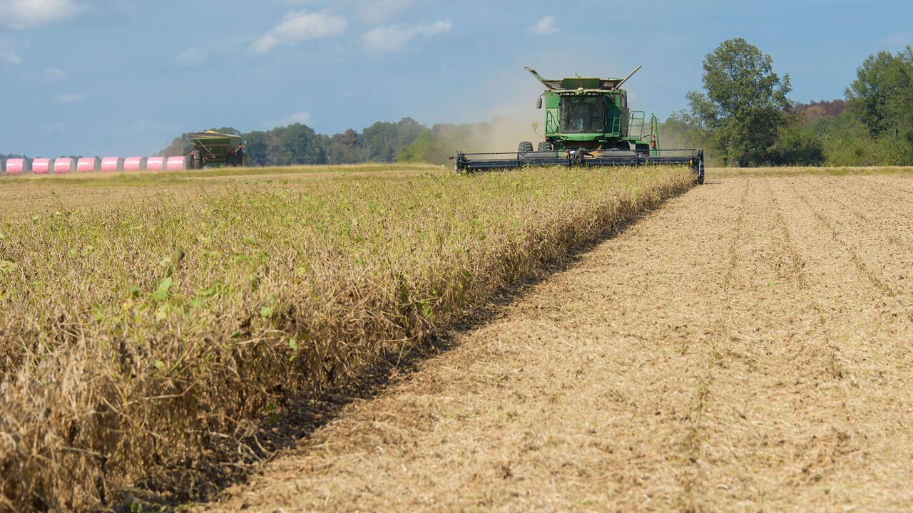A combine harvester cuts hay in a field.