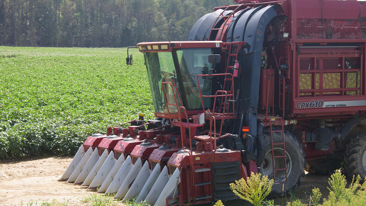 A red cotton picker sits in front of a cotton field.