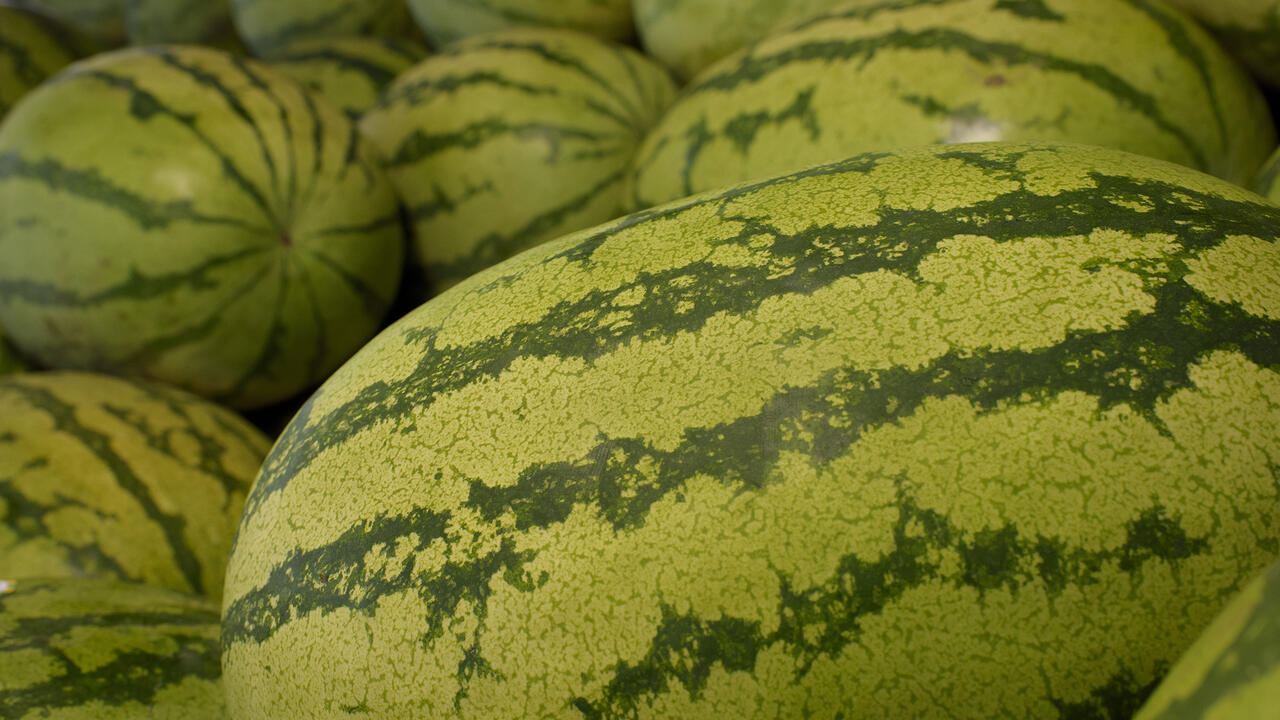 closeup of watermelons