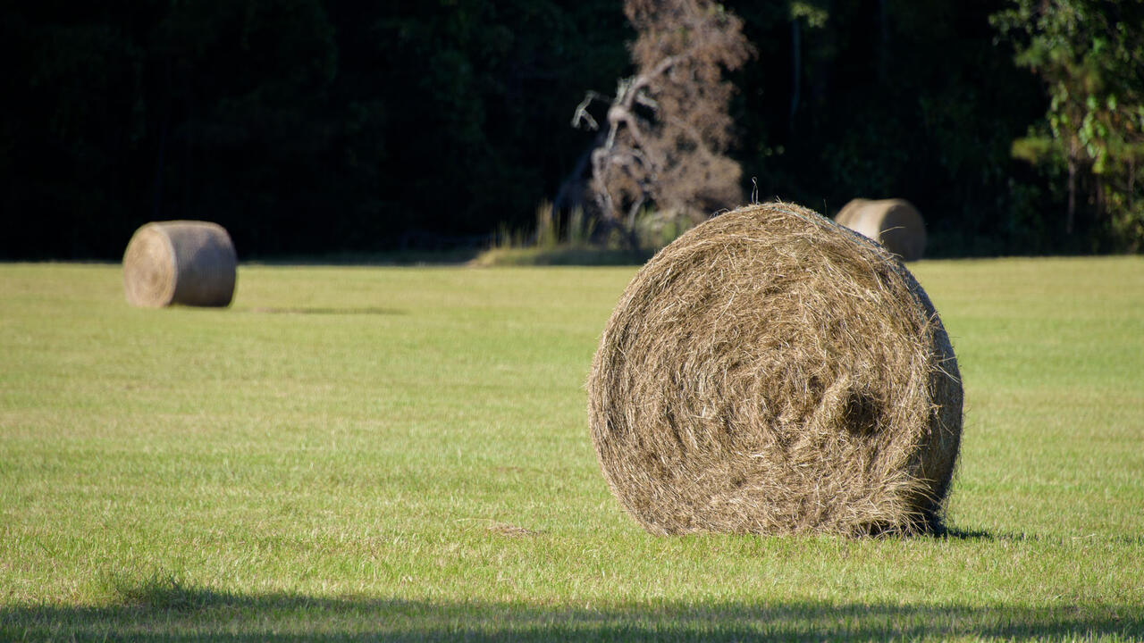 A bale of round hay in a mostly empty field.