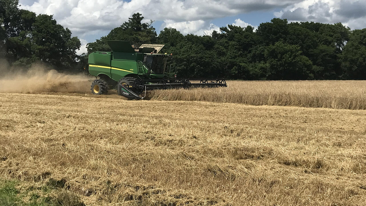 A piece of green farm machinery moves through a wheat field.