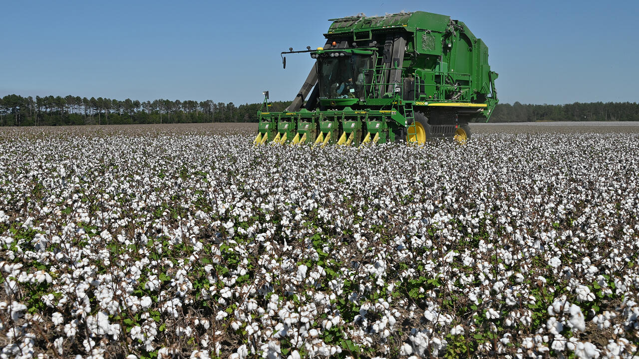 A piece of green farm machinery moves through a field of white cotton.