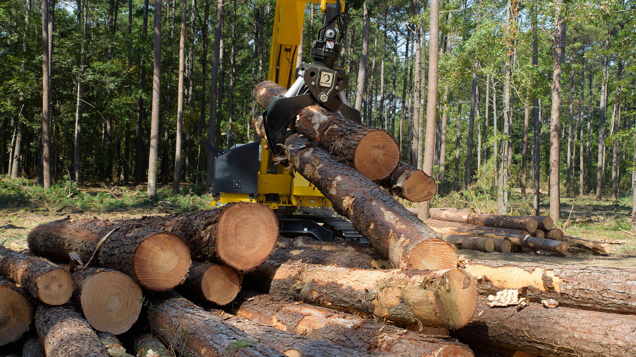 A log loader lifts freshly cut tree logs and places them in a pile.