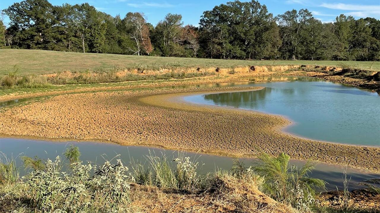 Dried up pond