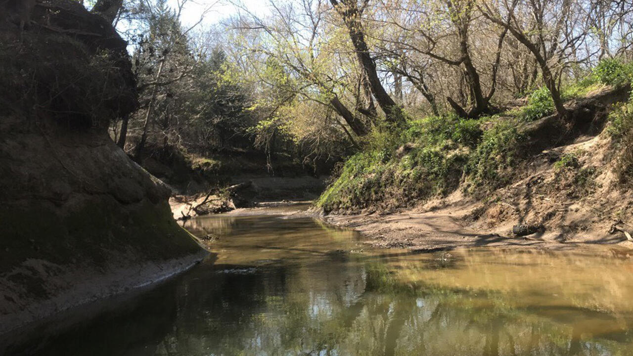 A shallow creek between two hills.