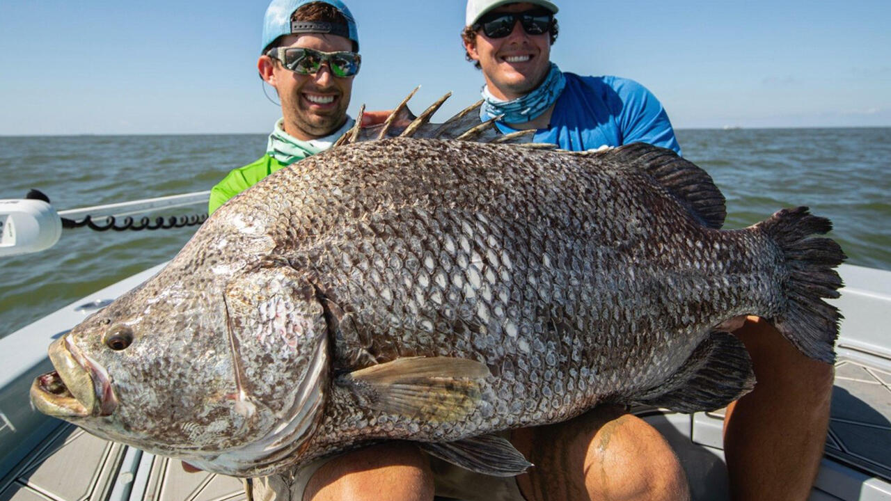 Two men in a boat pose with a large fish in their laps.