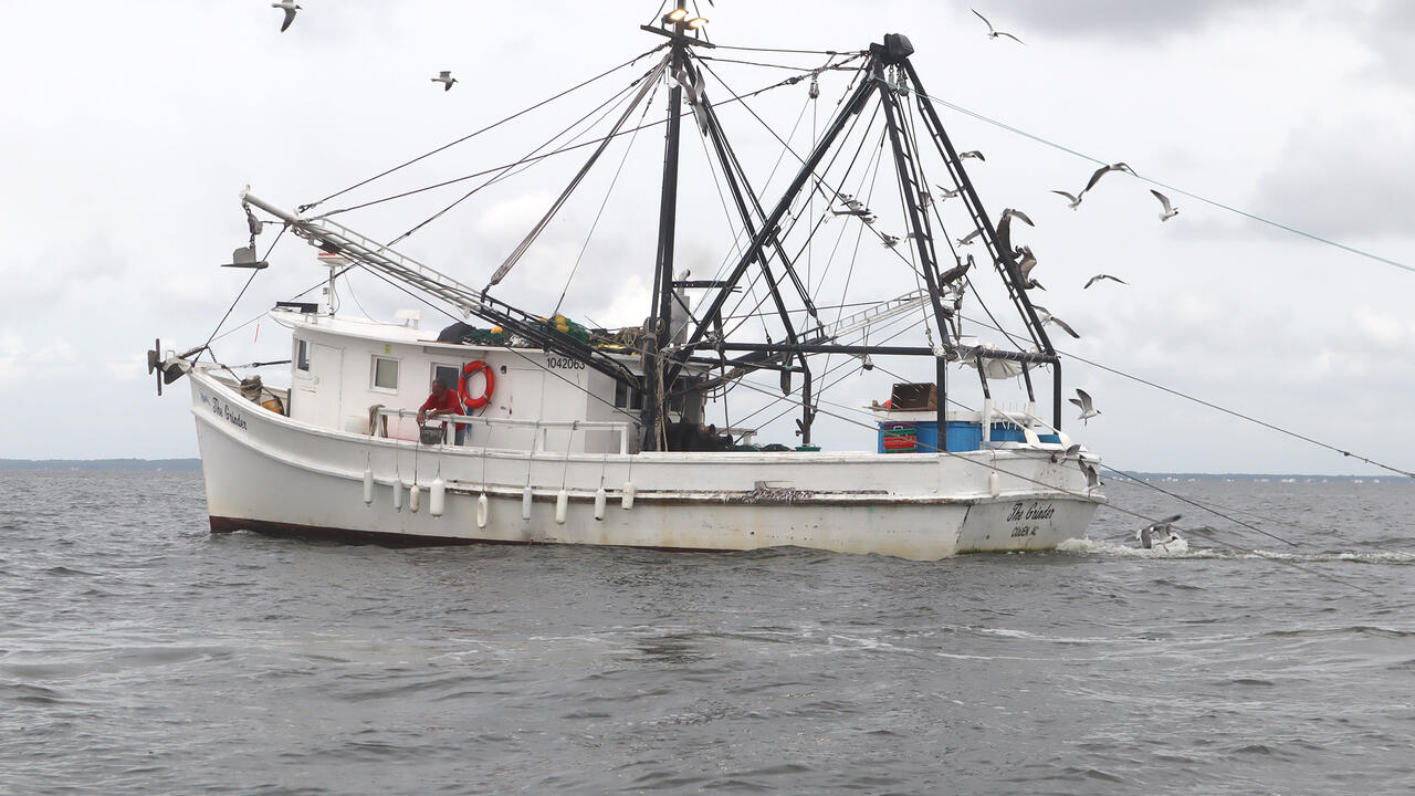 Fishing vessel trawls multiple nets for shrimp.