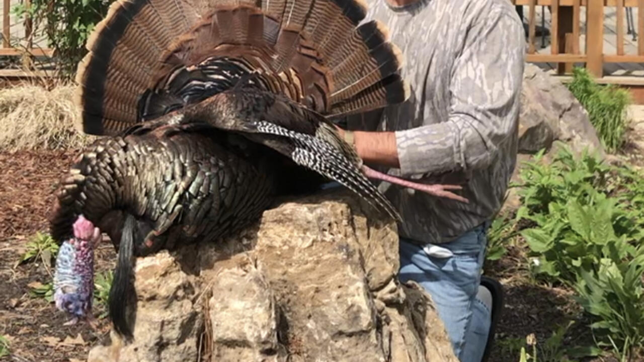 A hunter shows off a turkey he harvested.